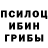 Псилоцибиновые грибы MAGIC MUSHROOMS Jaroslaw Lashuk