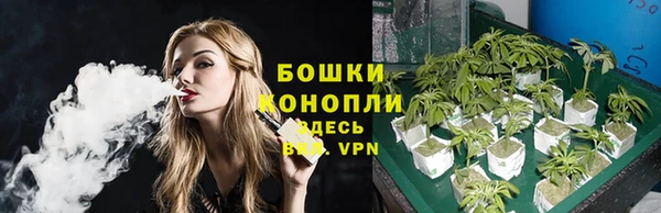 трава Верея